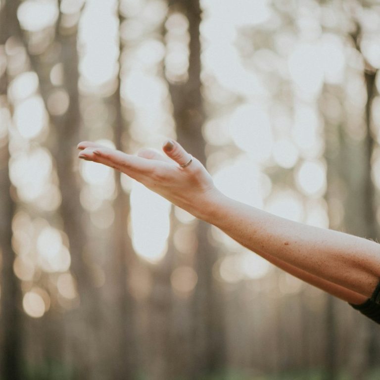 Mano extendida hacia un lado en un bosque con luz suave de fondo.